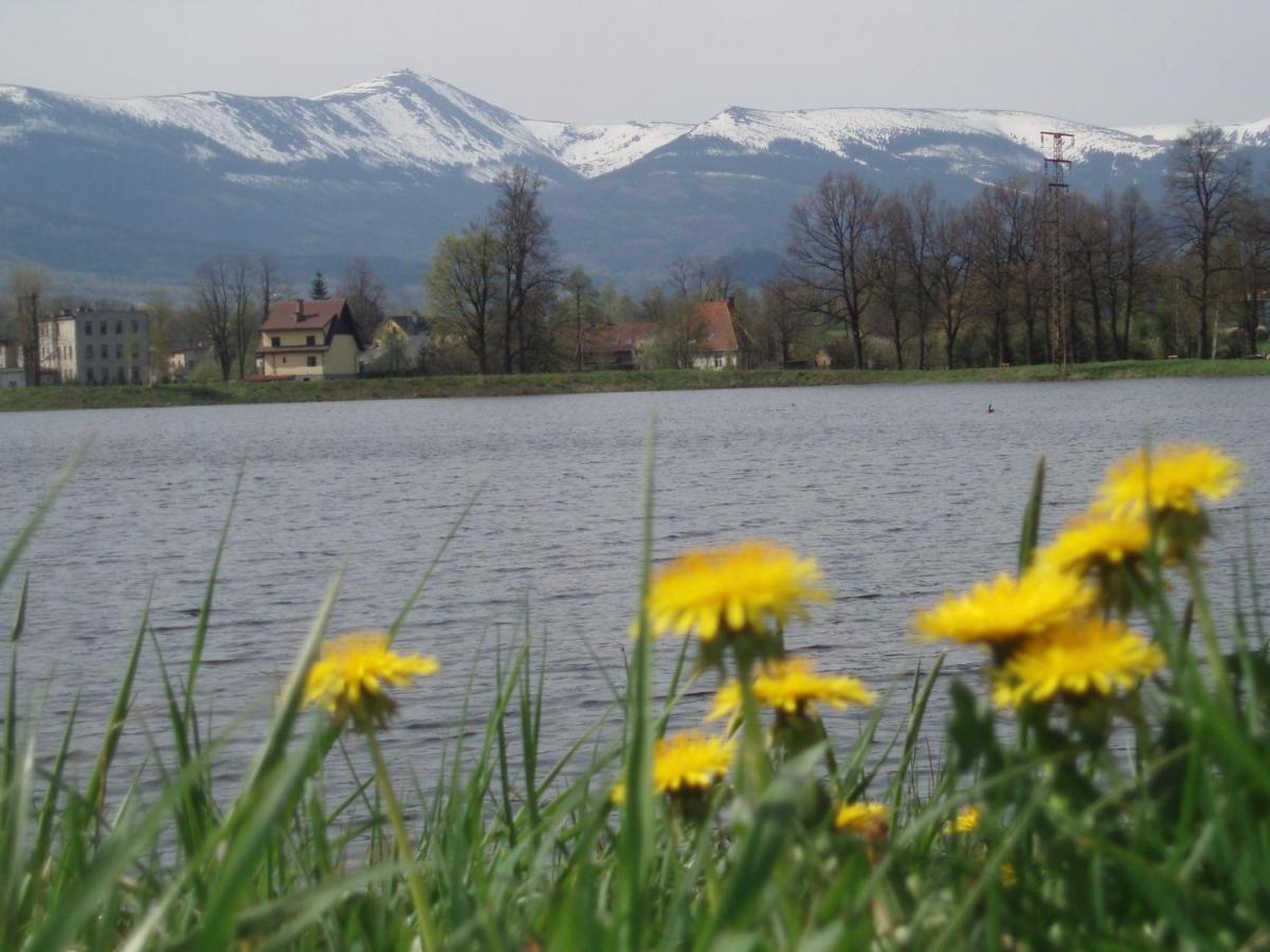 Agroturystyka Aura Kostrzyca Exterior foto