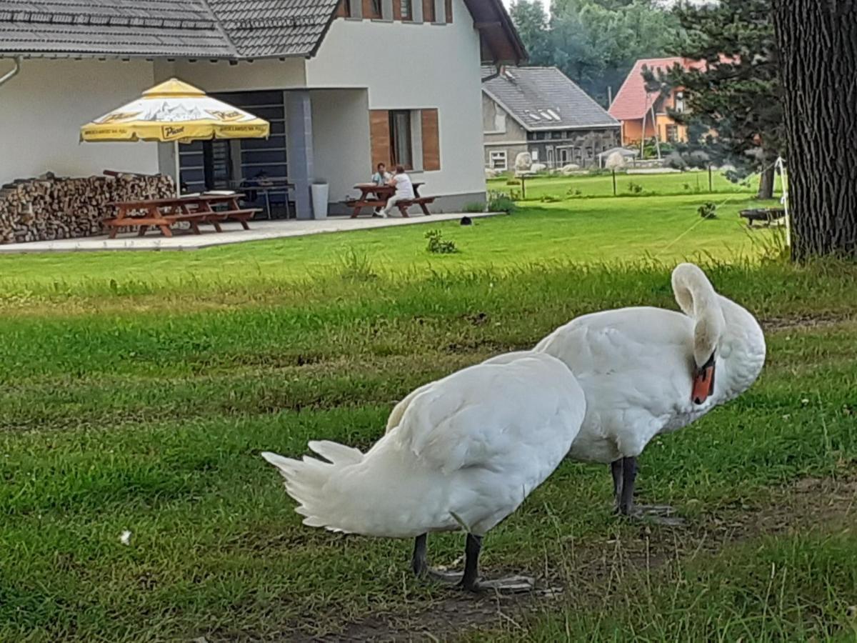 Agroturystyka Aura Kostrzyca Exterior foto