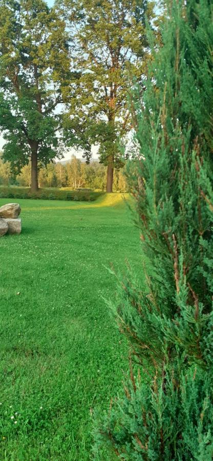 Agroturystyka Aura Kostrzyca Exterior foto
