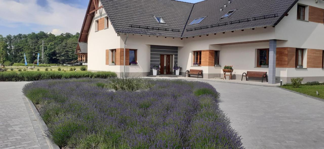 Agroturystyka Aura Kostrzyca Exterior foto