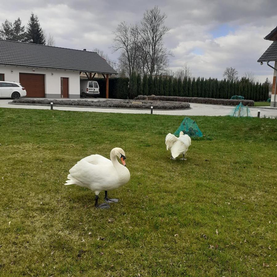 Agroturystyka Aura Kostrzyca Exterior foto