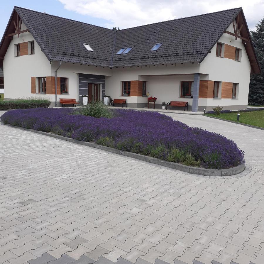 Agroturystyka Aura Kostrzyca Exterior foto