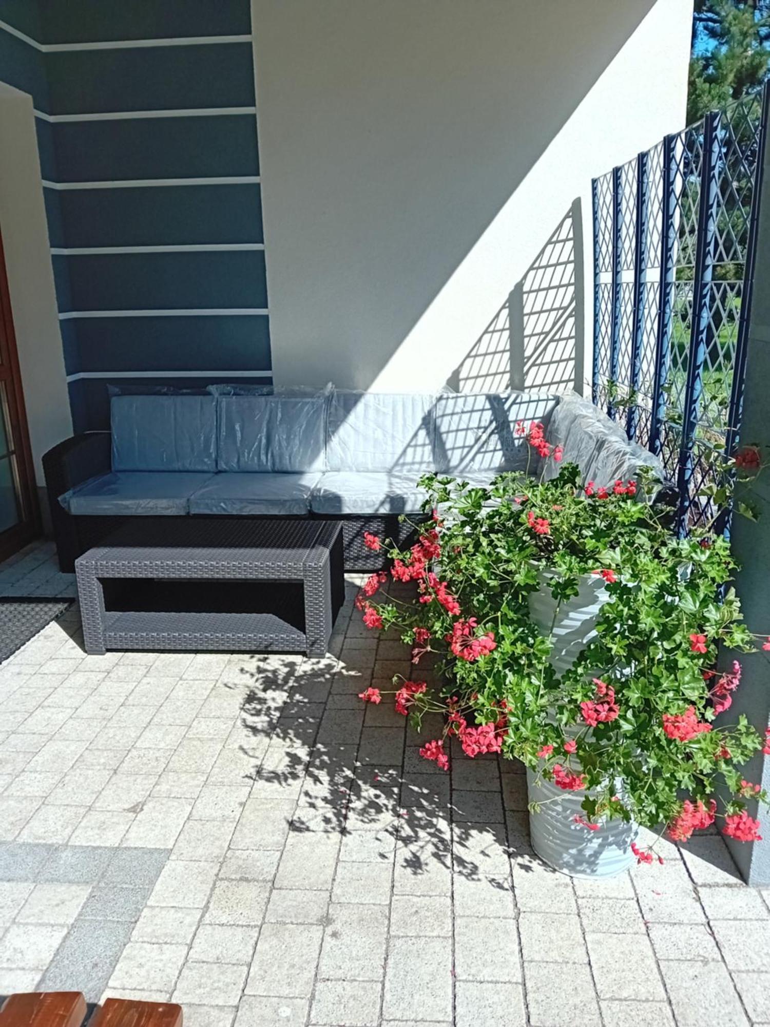 Agroturystyka Aura Kostrzyca Exterior foto
